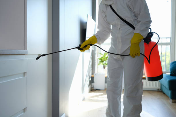 Best Attic Mold Remediation in Fredonia, NY